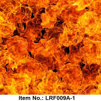 LRF 009A-1