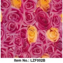 LZF 002B