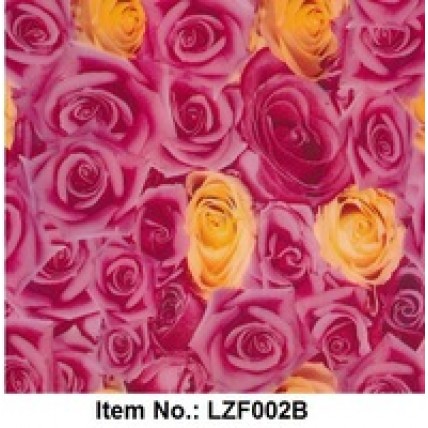 LZF 002B