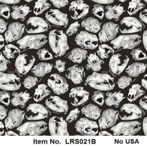 LRS 021B