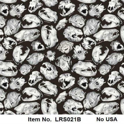 LRS 021B