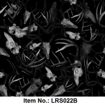 LRS 022B