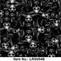 LRS 054B