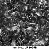 LRS 055B