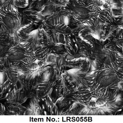 LRS 055B