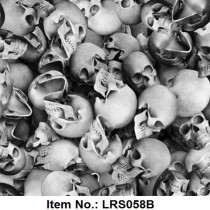 LRS 058B