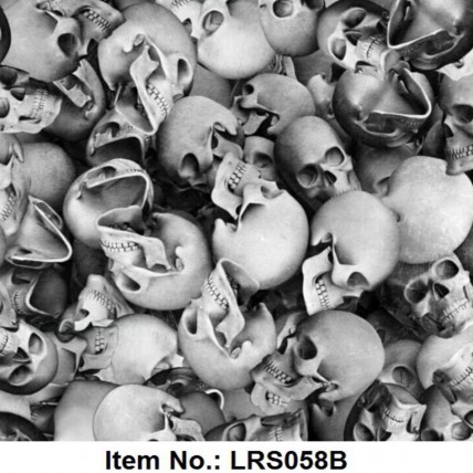 LRS 058B