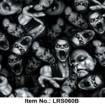 LRS 060B