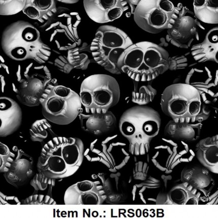 LRS 063B