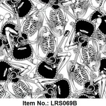 LRS 069B