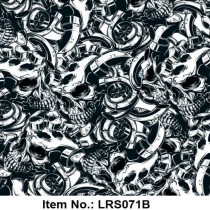 LRS 071B