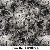 LRS 079A