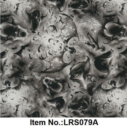 LRS 079A