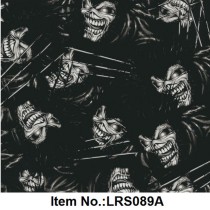 LRS 089A