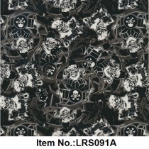 LRS 091A