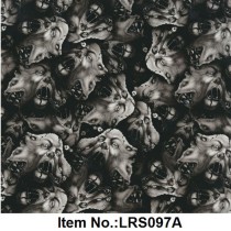 LRS 097A
