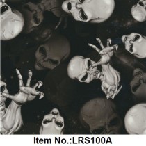 LRS 100A