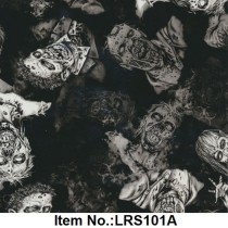 LRS 101A