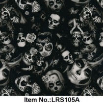 LRS 105A