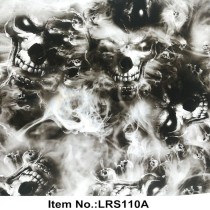 LRS 110A