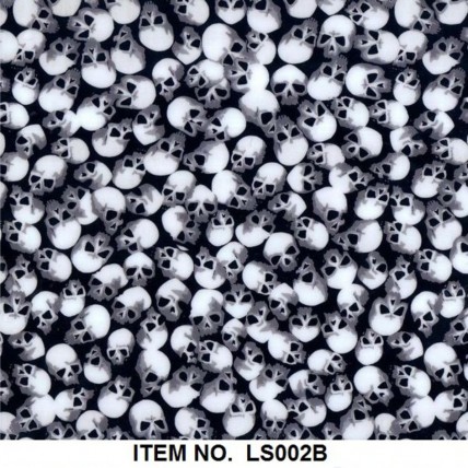 LS 002B