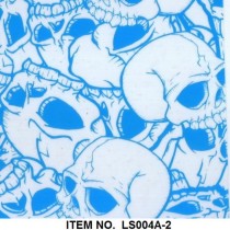 LS 004A-2