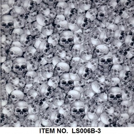 LS 006B-3