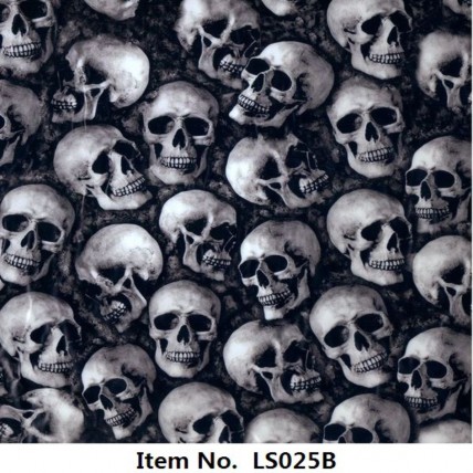 LS 025B