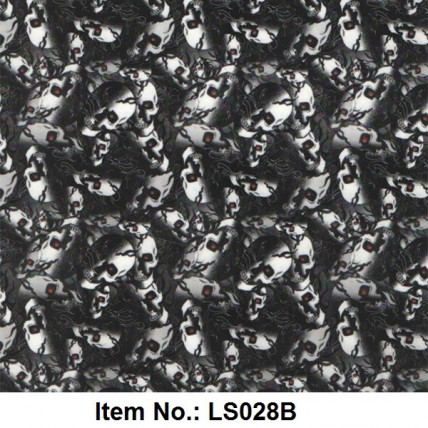 LS 028B