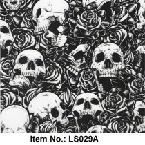 LS 029A