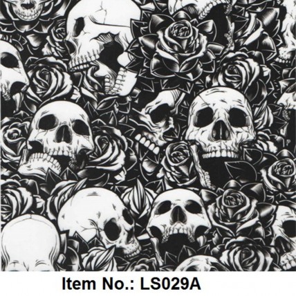 LS 029A