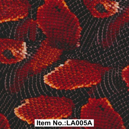 LA 005A