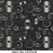 LD 251B
