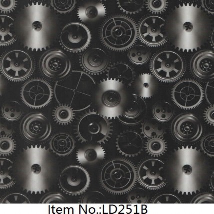 LD 251B