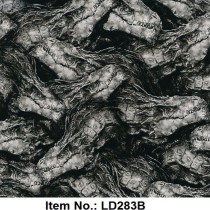 LD 283B