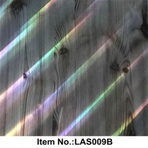 LAS 009B