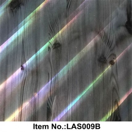 LAS 009B