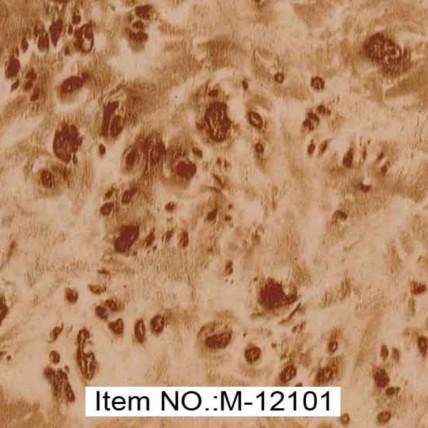 M-12101