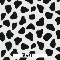 MA61-1