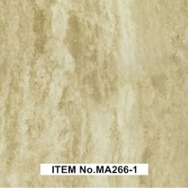 MA266-1
