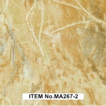 MA267-2