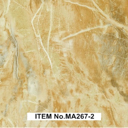 MA267-2