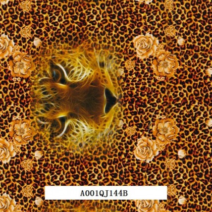 A 001QJ144B