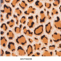 A01YYA023B