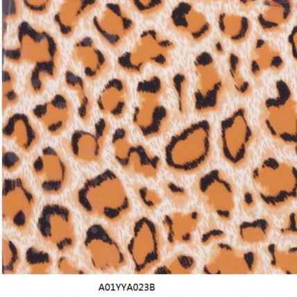 A01YYA023B