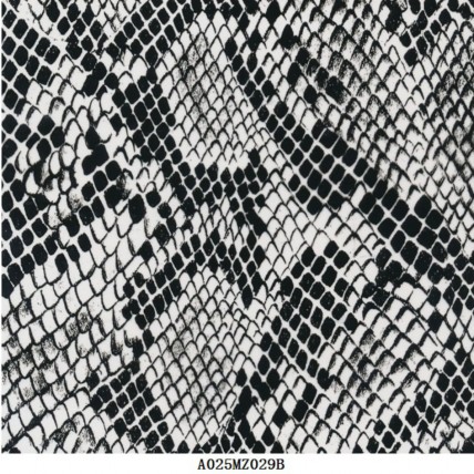 A025MZ029B
