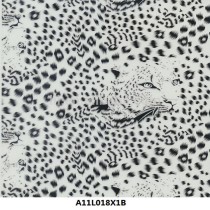 A11L018X1B