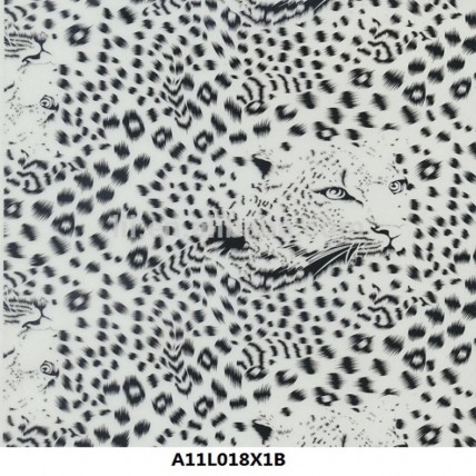 A11L018X1B