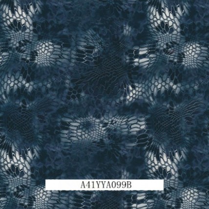 A41YYA099B