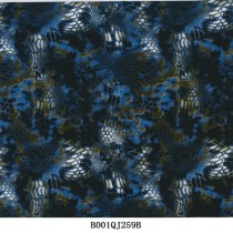 B001QJ259B